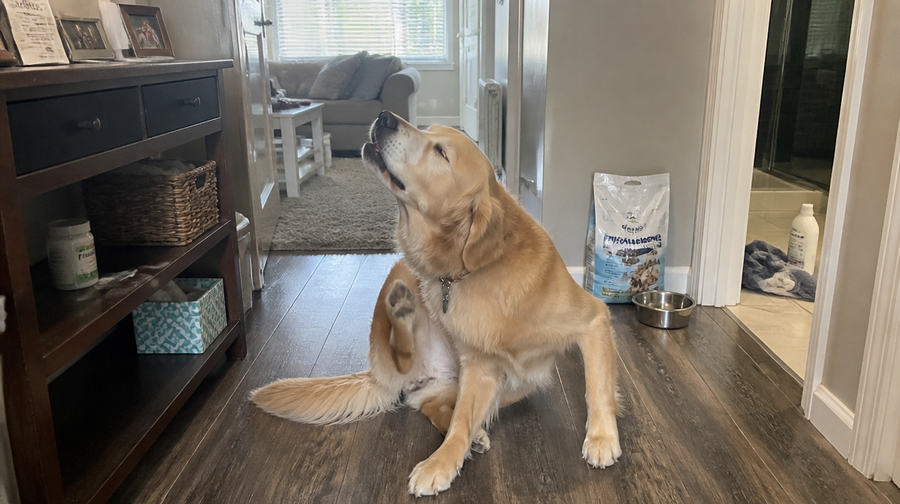 BUT YOU ONLY CHANGED THE DOG