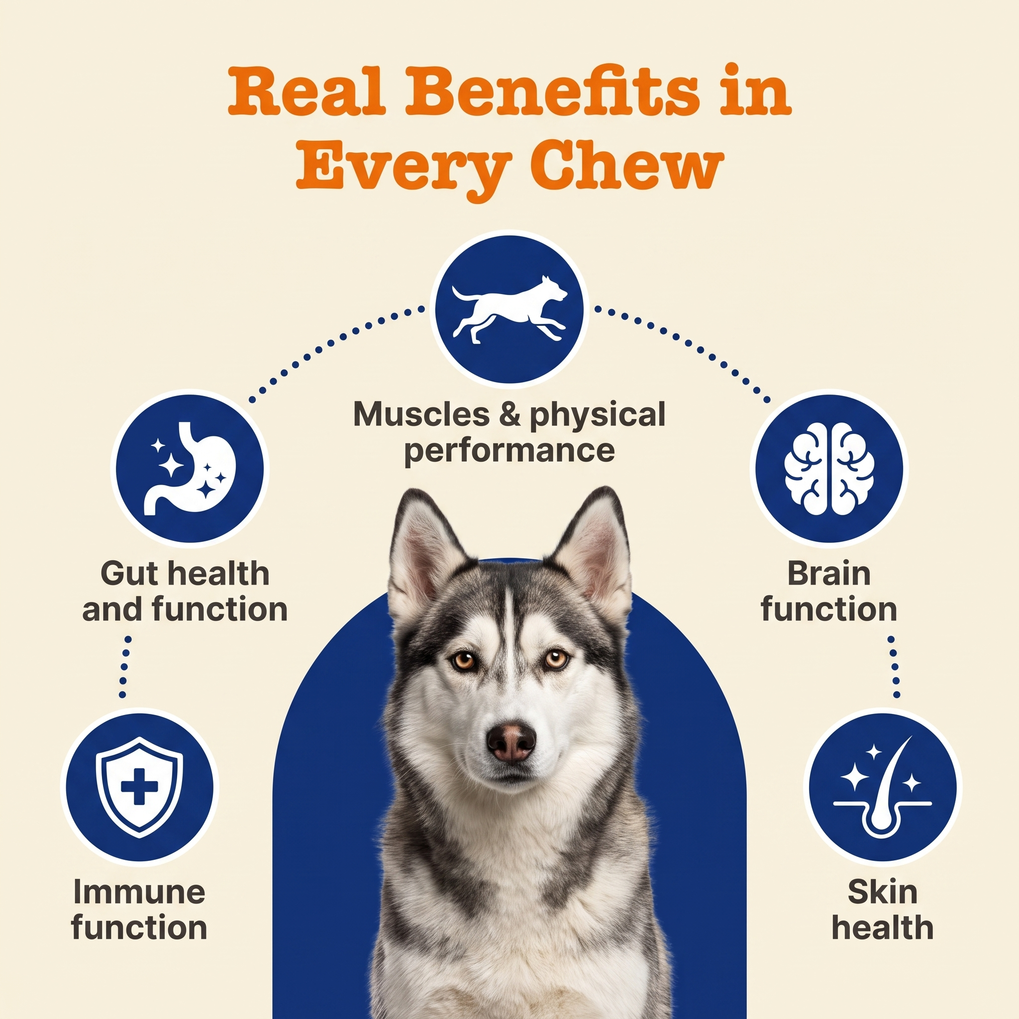 5-in-1 Vitamine Chews
