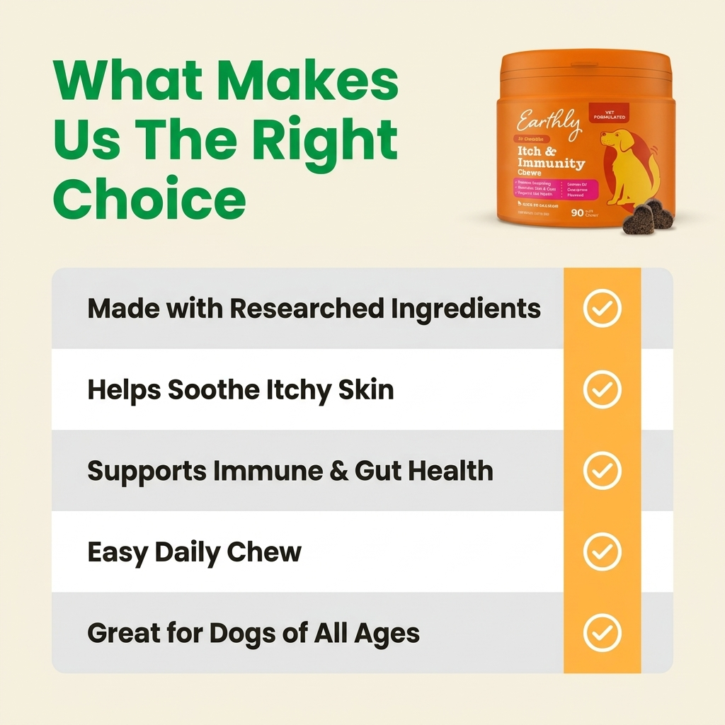 Itch & Immunity Chews