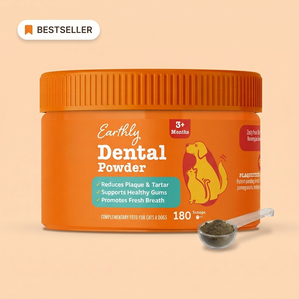 Dental Powder
