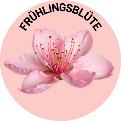 Vårblomning 🌸