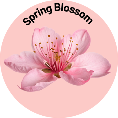 Spring Blossom 🌸