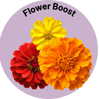 Flower Boost 🌼