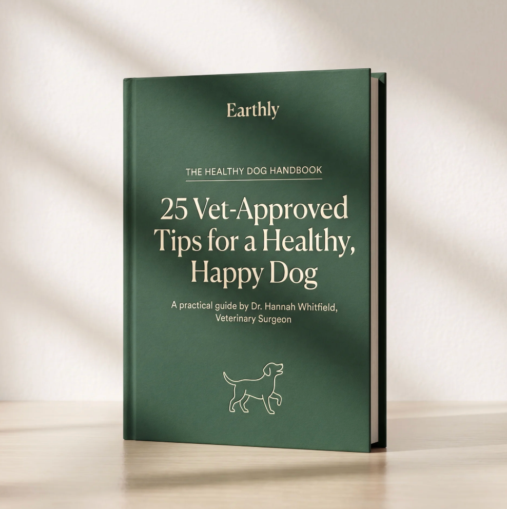 25 Vet-Approved Tips for a Healthy, Happy Dog