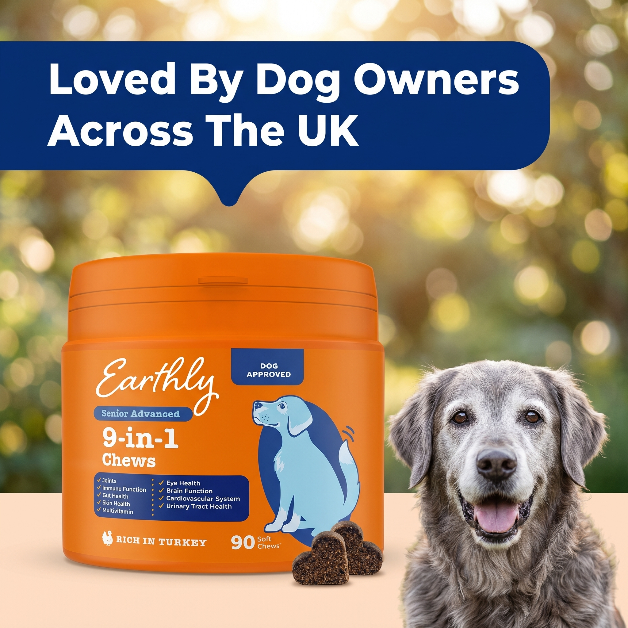 Senior Advanced 9-in-1 Chews