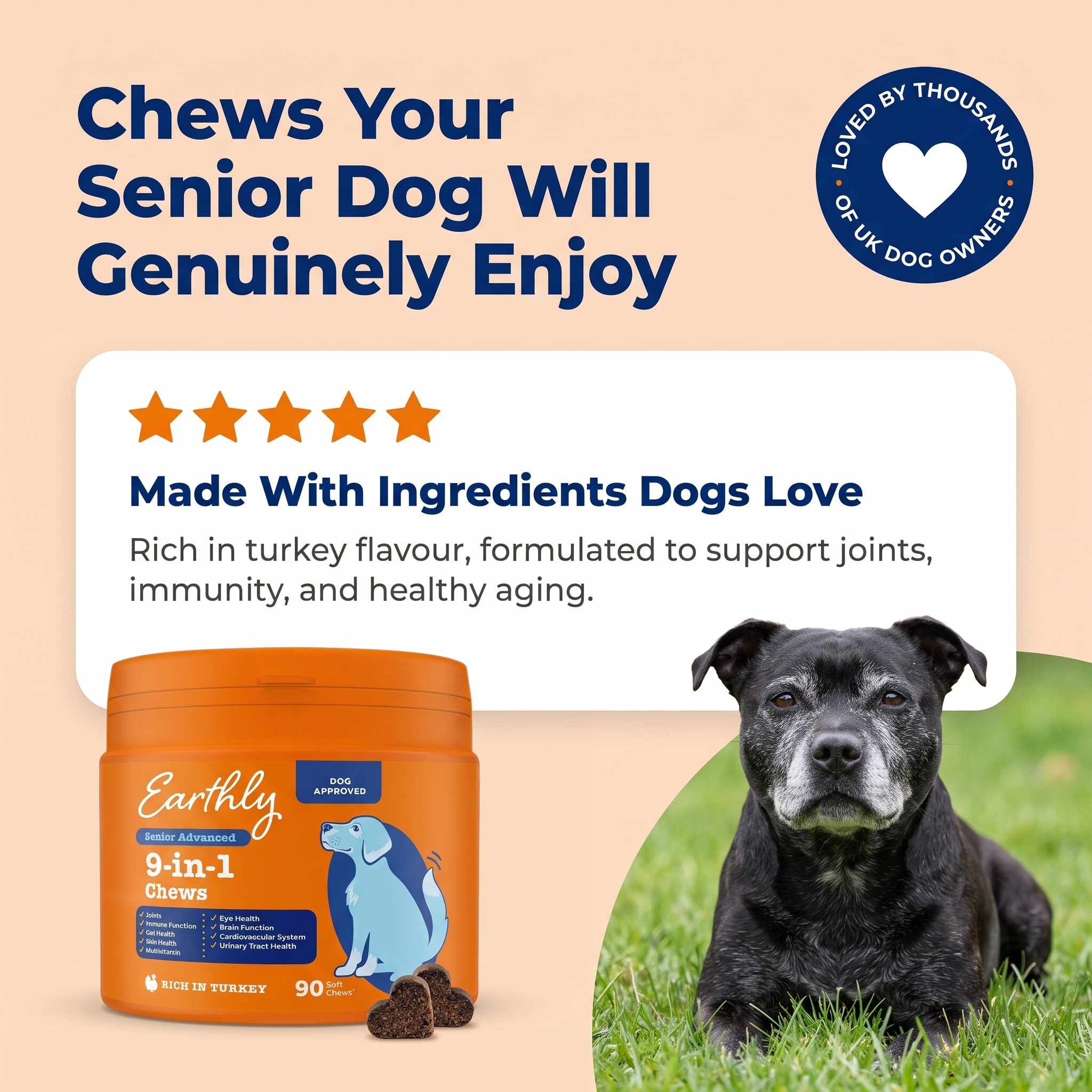 Senior Advanced 9-in-1 Chews
