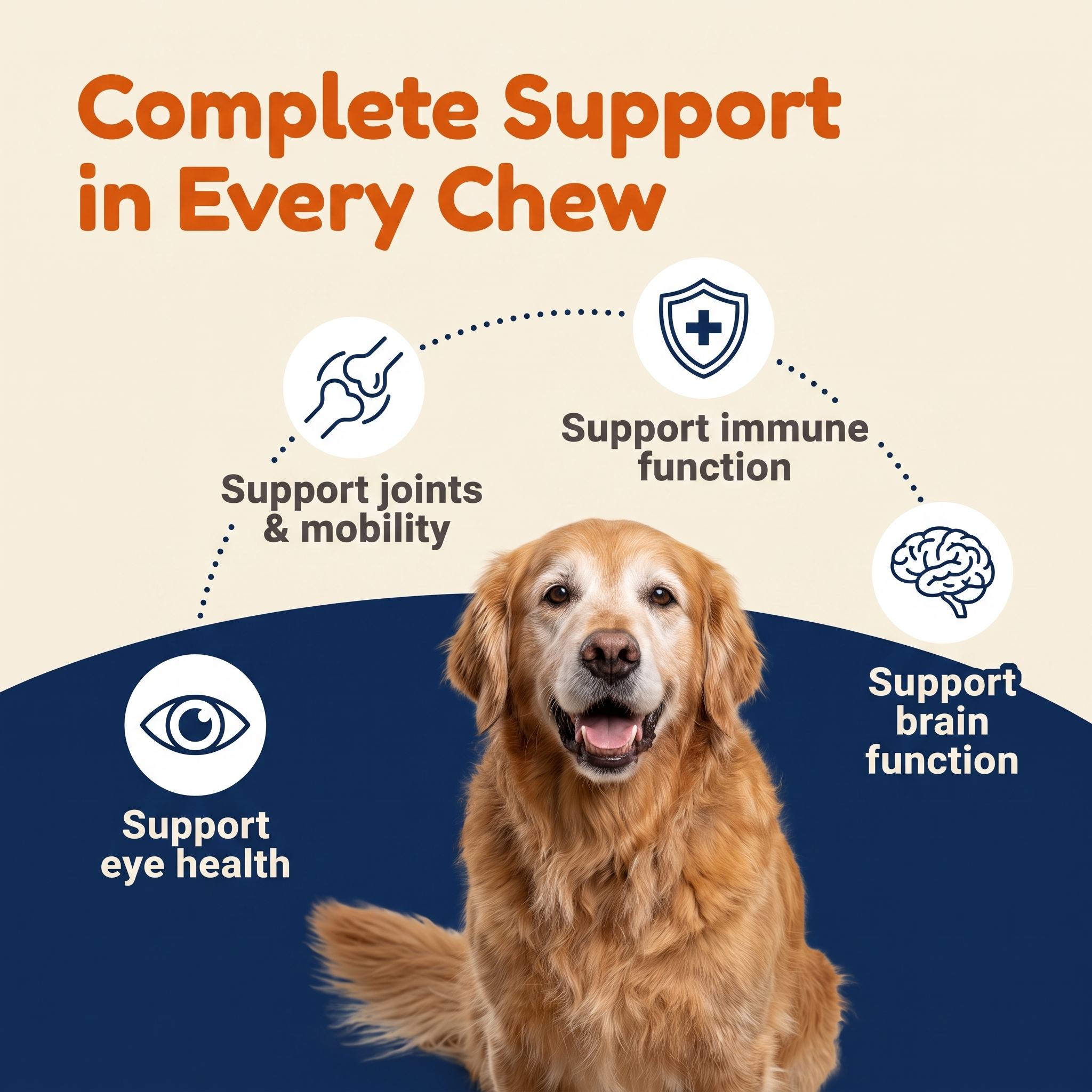 Senior Advanced 9-in-1 Chews