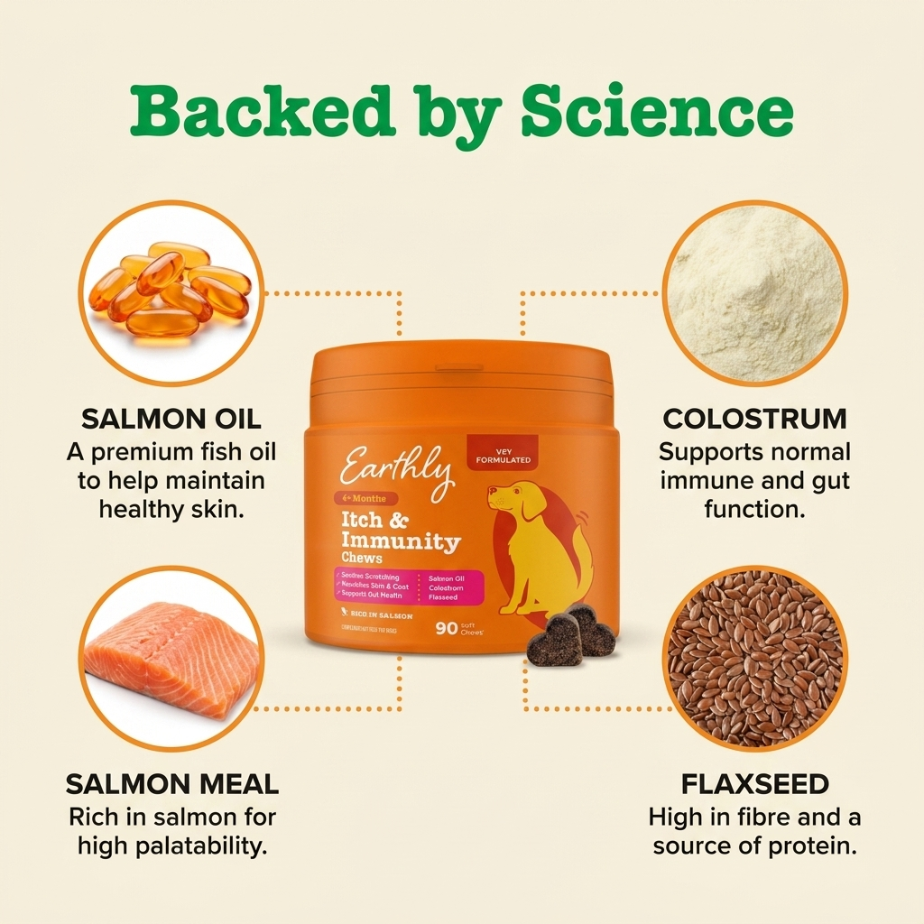 Itch & Immunity Chews