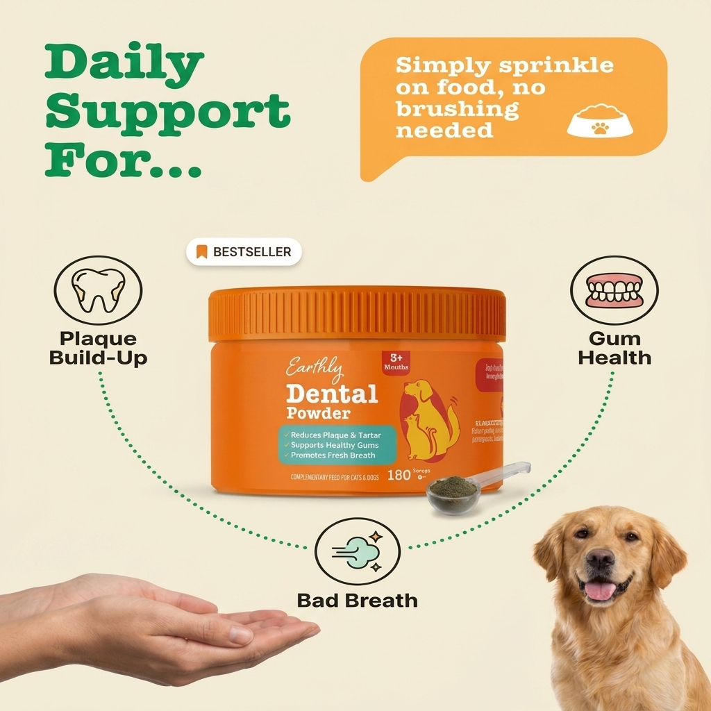 Dental Powder